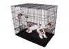 Picture of Show Tech Puppy cage